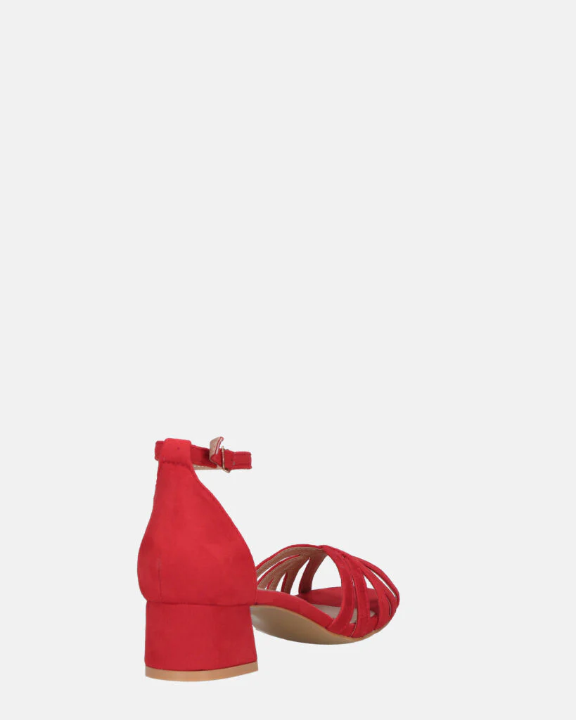 THEMA - sandali bassi in camoscio rosso e cinturino - Image 14
